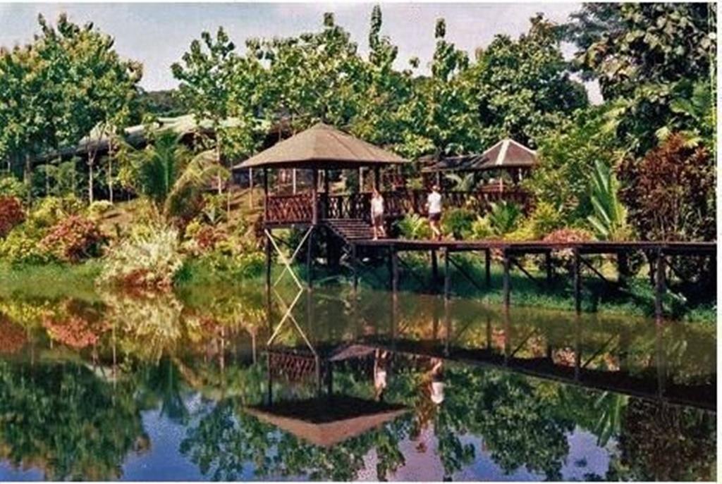 Sepilok Jungle Resort Exteriör bild