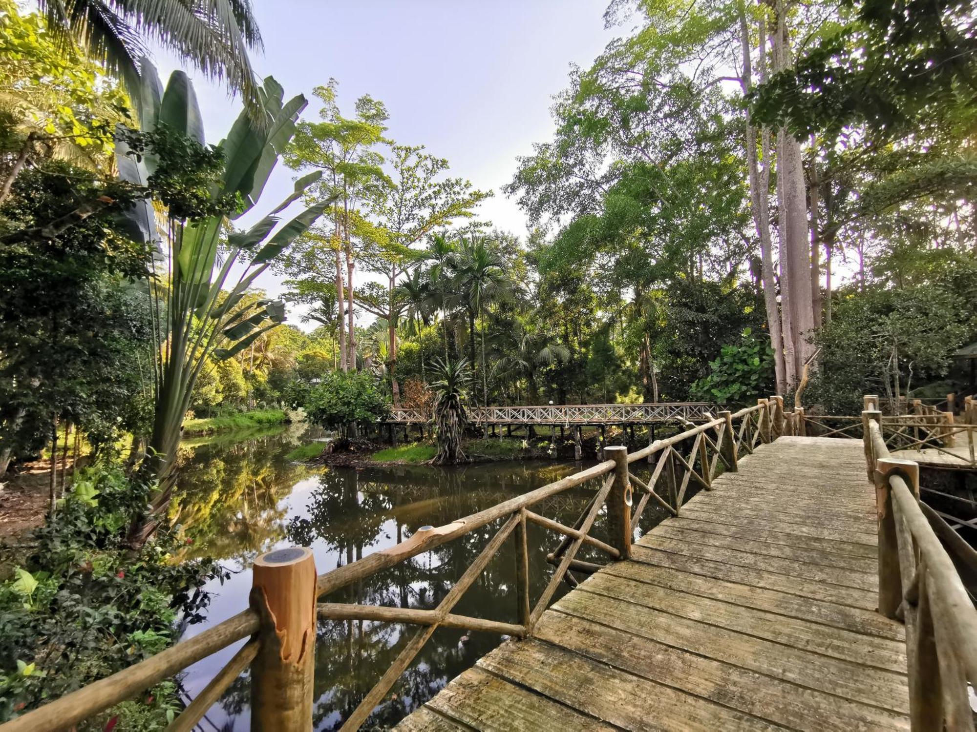 Sepilok Jungle Resort Exteriör bild