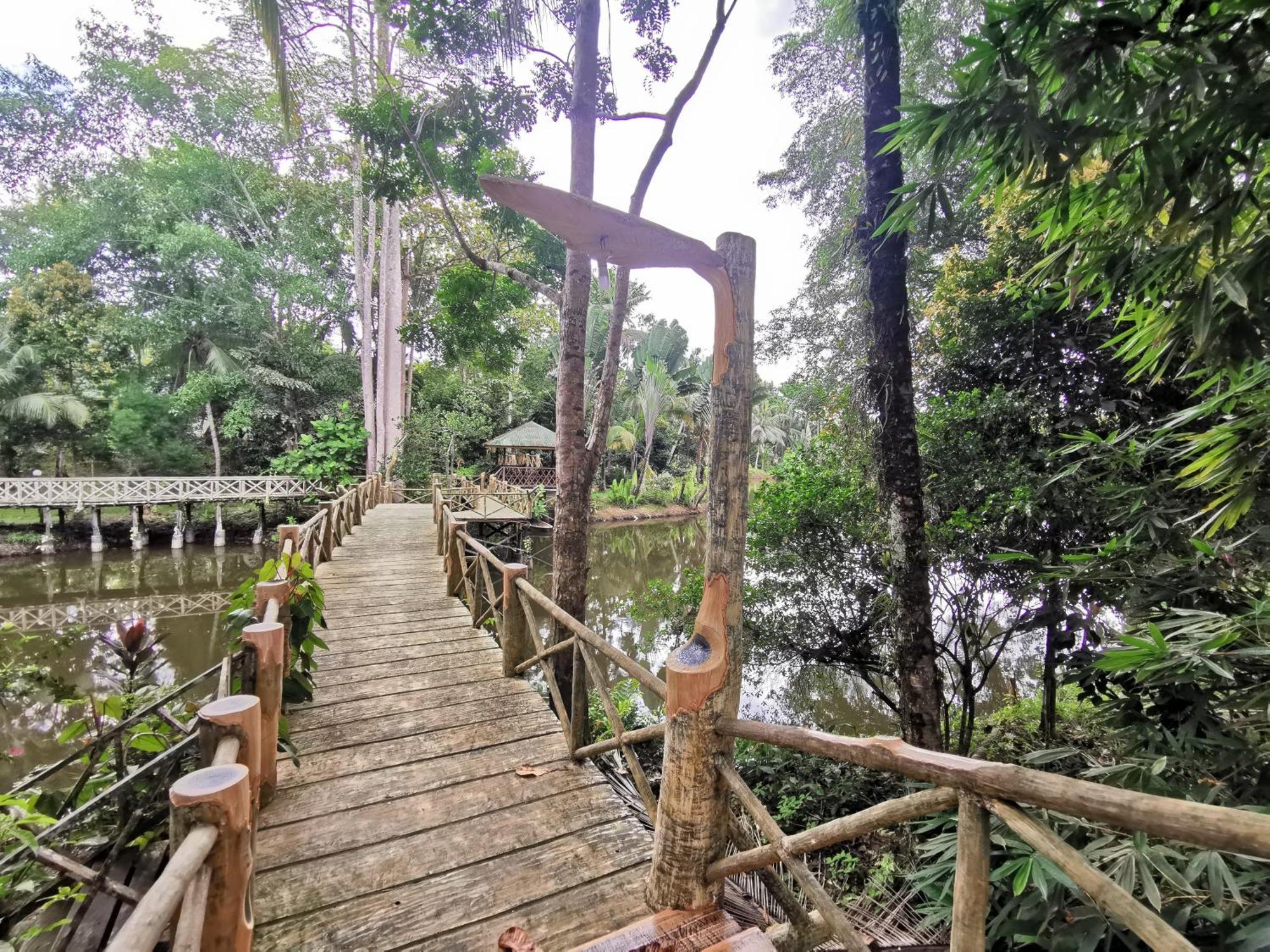 Sepilok Jungle Resort Exteriör bild