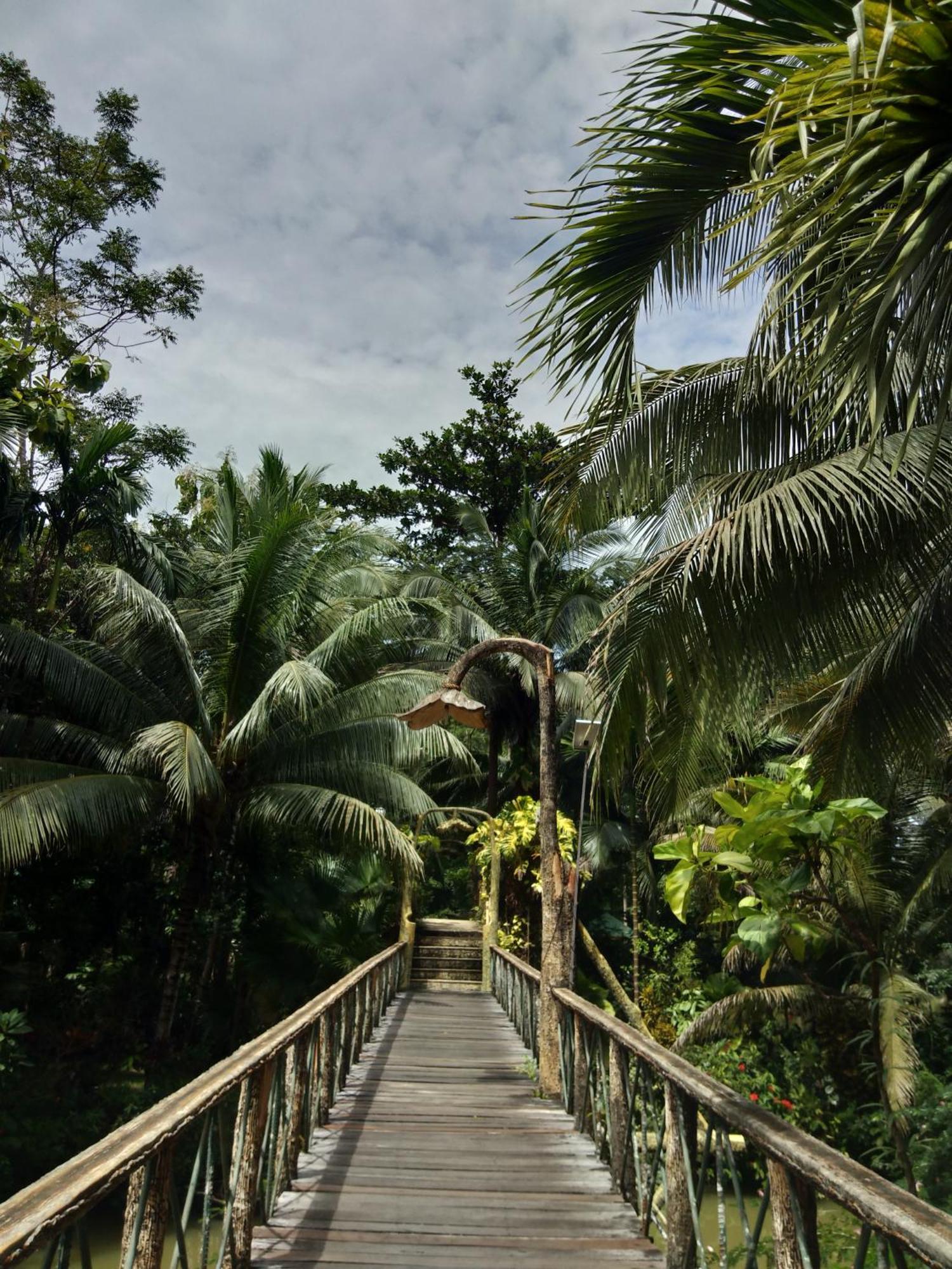 Sepilok Jungle Resort Exteriör bild