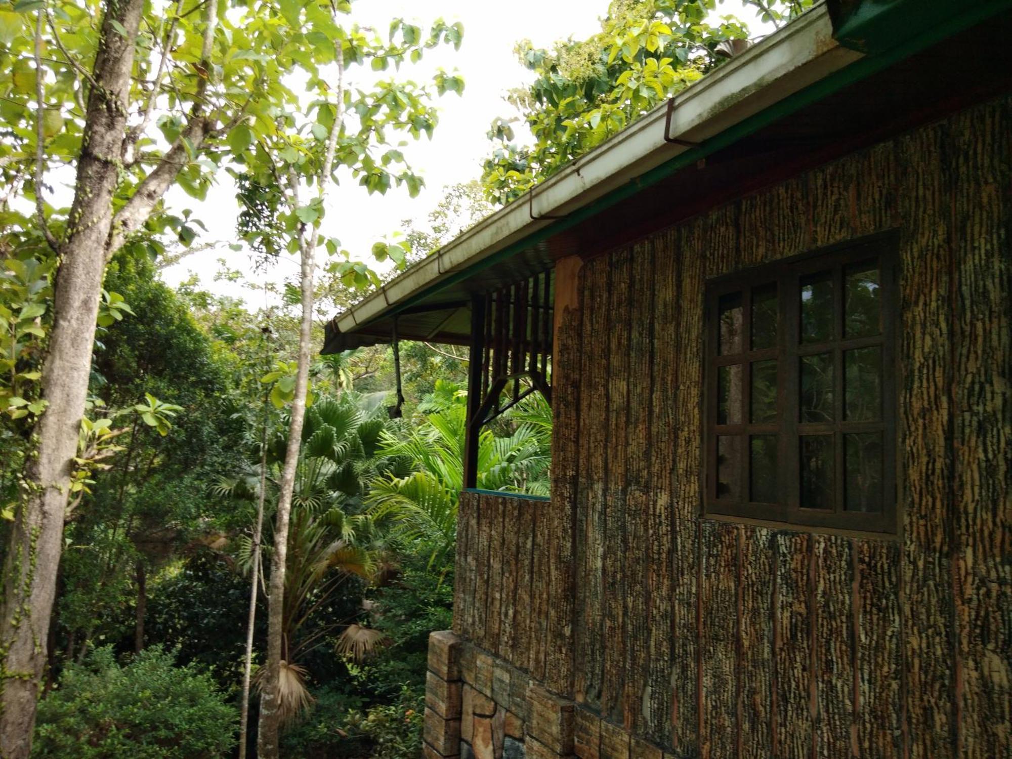 Sepilok Jungle Resort Exteriör bild