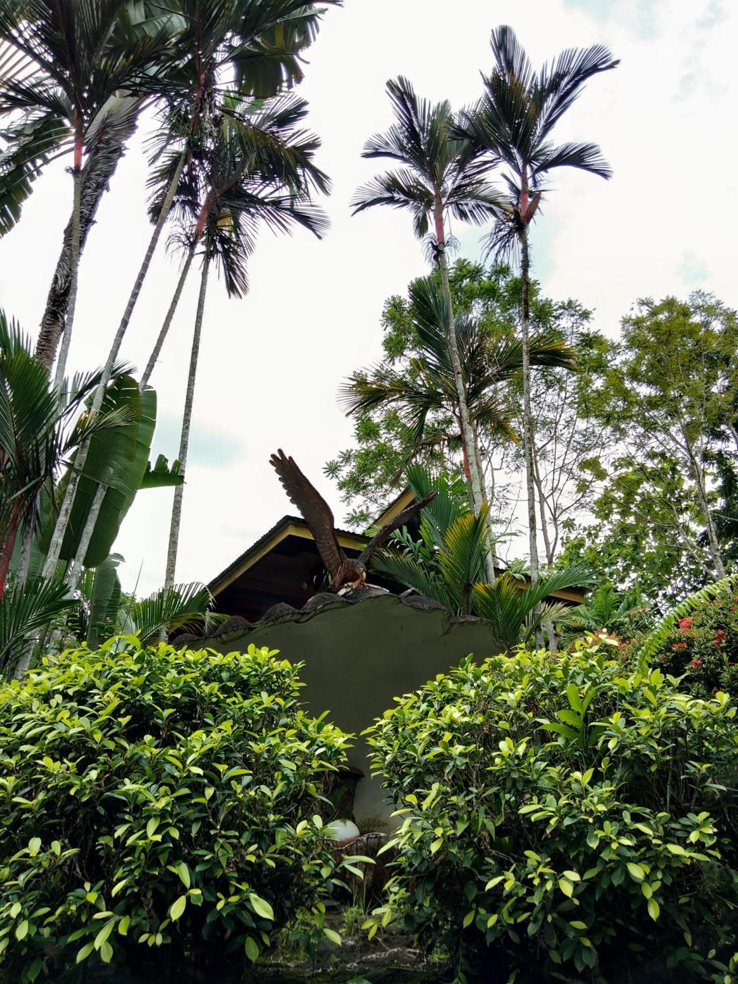 Sepilok Jungle Resort Exteriör bild